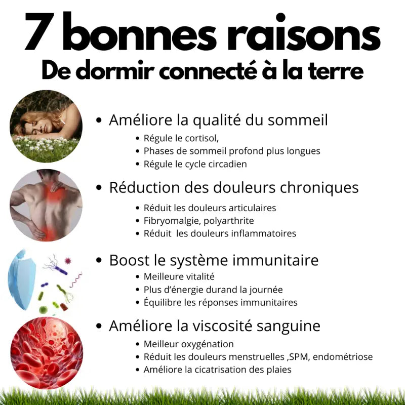 La taie d’oreiller coton de mise à la terre par inalterra.fr