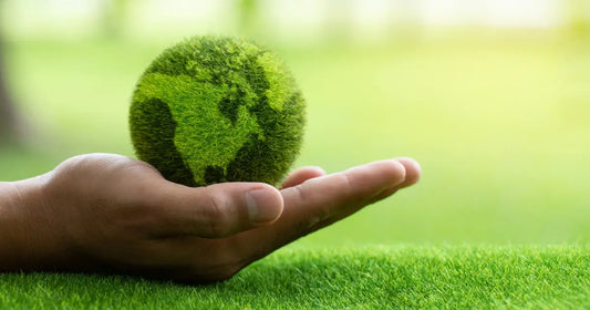 Earthing et longévité: les clés pour vivre une vie longue saine