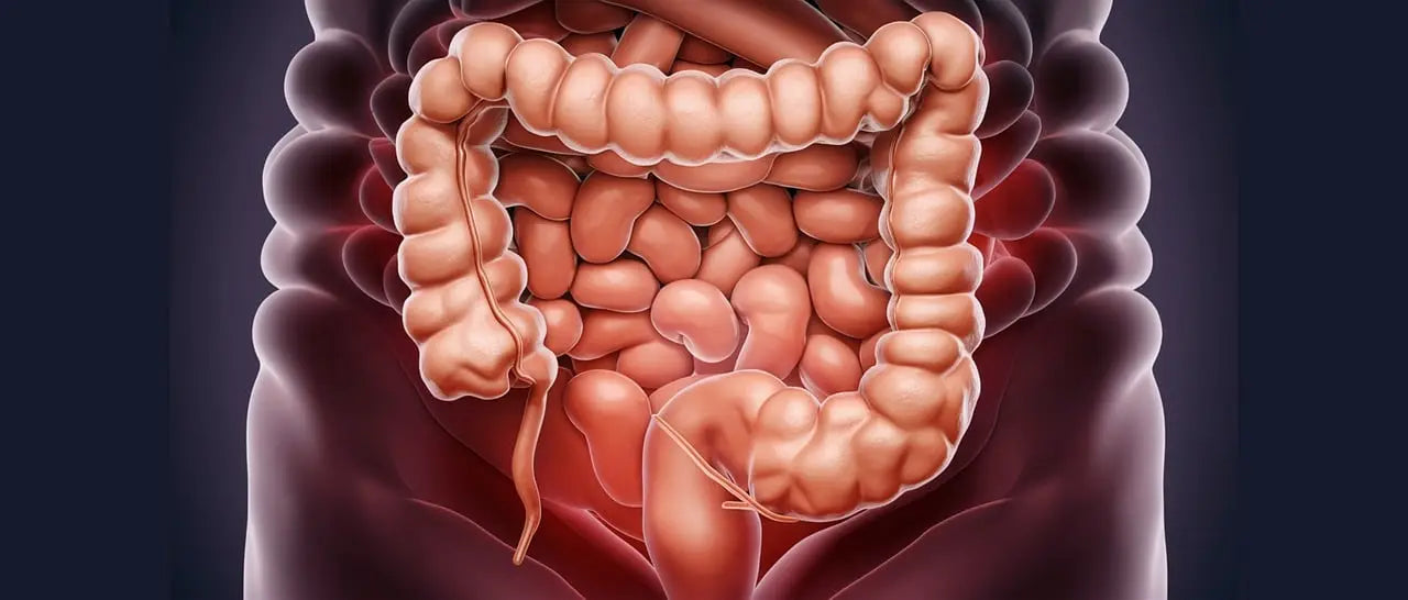 Earthing mise à la terre et santé digestive: comment lutter contre