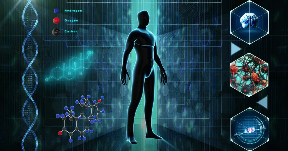 Inalterra podcast #15 - comment la mise à terre permet d’agir base du fonctionnement physiologique ? Avec estelle