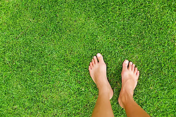 Glossaire inalterra: comprendre le vocabulaire du earthing et des ondes