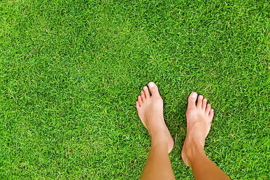 Glossaire inalterra: comprendre le vocabulaire du earthing et des ondes