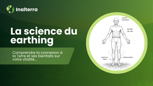 La connexion à la Terre: guide complet