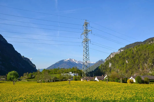 Les élevages face aux perturbations électriques: une énigme scientifique