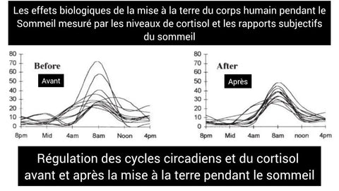 cycle circadien et mise à la terre du corps humain