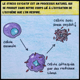 BD les bienfaits de mise à la terre inalterra