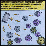 BD le circadien, les bienfaits de la mise à la terre