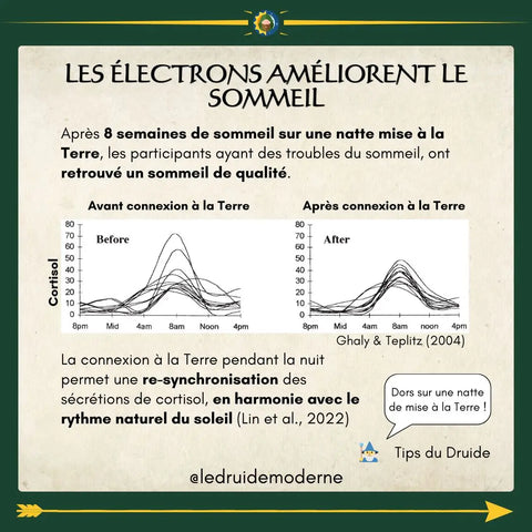 les pouvoirs de la terre le druide moderne