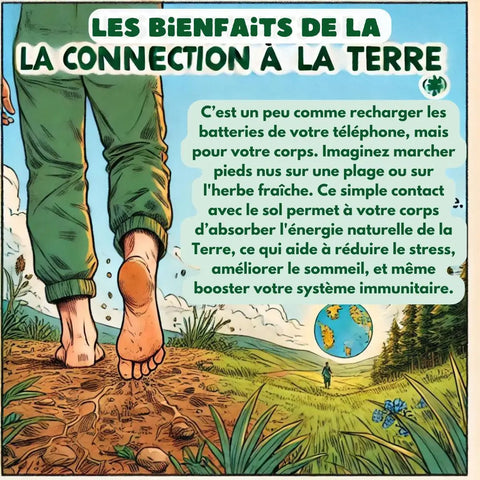 earthing grounding inalterra