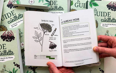 Le Guide de Cueillette APS