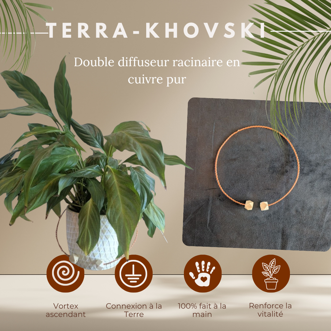 Terra khovsky, circuit oscillant Lakovsky + mise à la terre des plantes