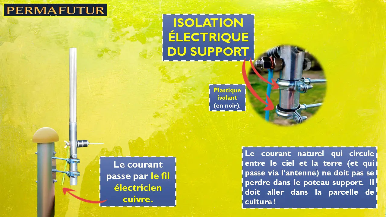 Électroculture & inalterra: réconcilier l’énergie de la terre et le vivant végétal