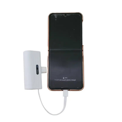 Batterie externe de poche pour iphone et usb-c par inalterra.fr