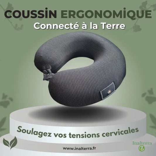 Coussin pour cervicales à mémoire de forme avec mise la terre par inalterra.fr