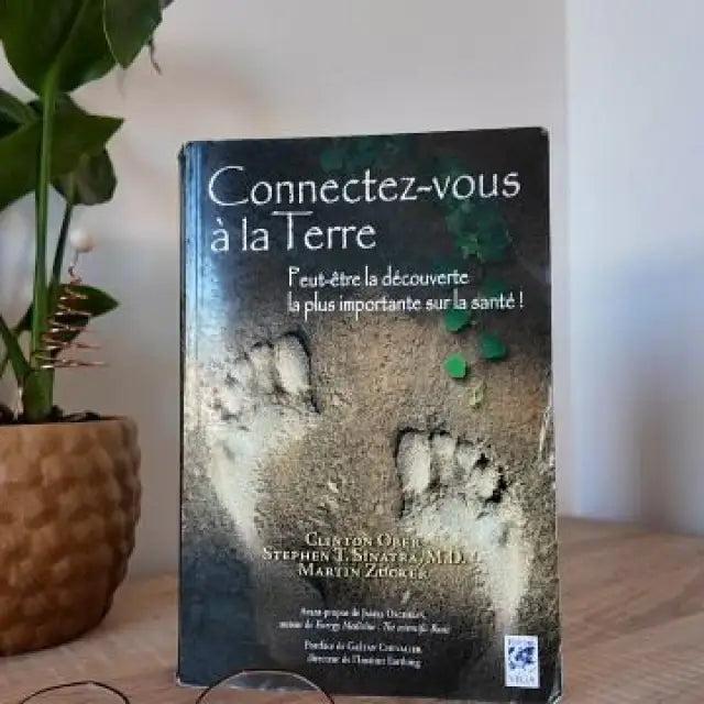 La natte de lit mise à la terre une personne ’terreconnect’ par inalterra.fr