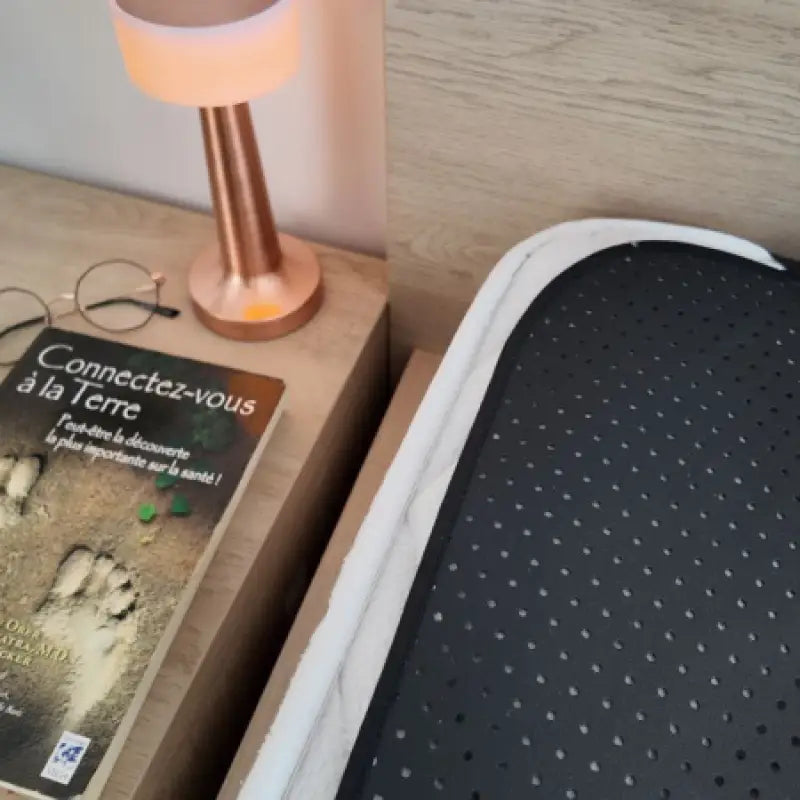 La natte de lit mise à la terre ’terreconnect’ version elite par inalterra.fr