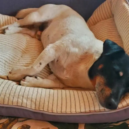 Le panier de mise à la terre pour chien et chat par inalterra.fr