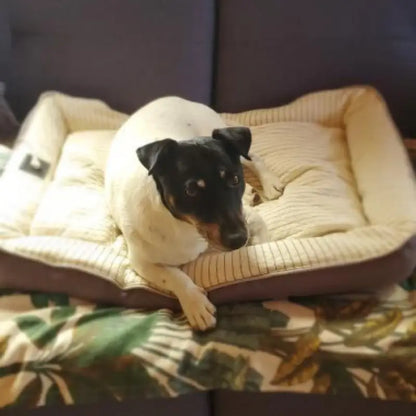 Le panier de mise à la terre pour chien et chat par inalterra.fr