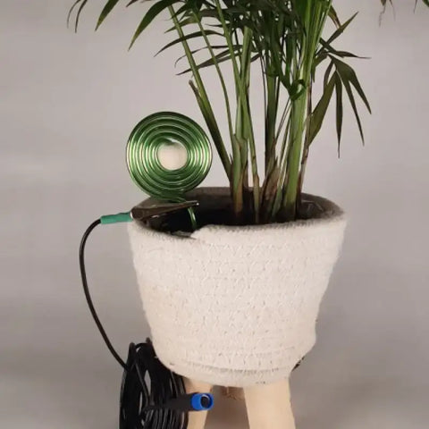 Mise à la terre des plantes en pot ’terra-flore’ vert par inalterra.fr