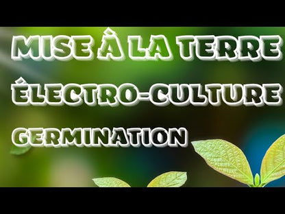 vidéo test de germination avecmise à la terre et électroculture "terra-khovski" inalterra