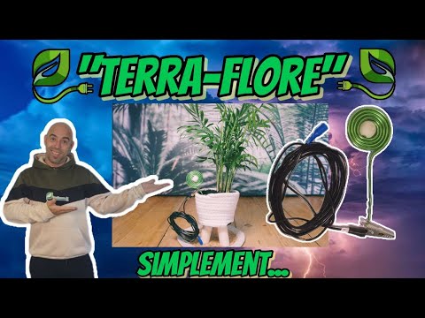 vidéo comment et pourquoi mettre à la terre sa plante en pot  avec un "terra-flore" inalterra
